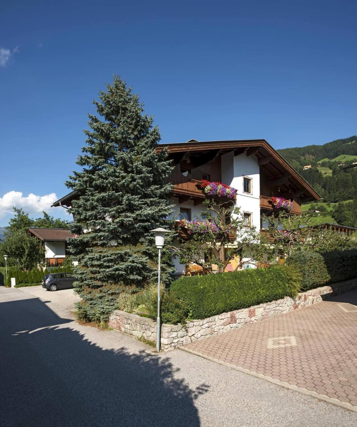 Alpenrose Apartment Ramsau im Zillertal Exterior photo